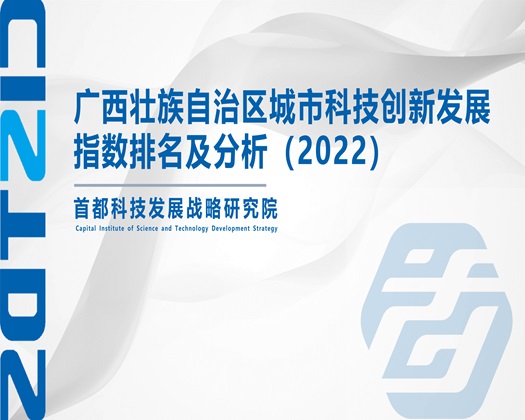 美女日逼视频下载【成果发布】广西壮族自治区城市科技创新发展指数排名及分析（2022）